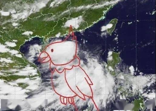 台风鹦鹉最新爆料,最新动态及防范措施全解析”  第1张